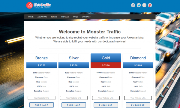 Web Traffic Service Website FOR SALE Turnkey Business + Free Hosting