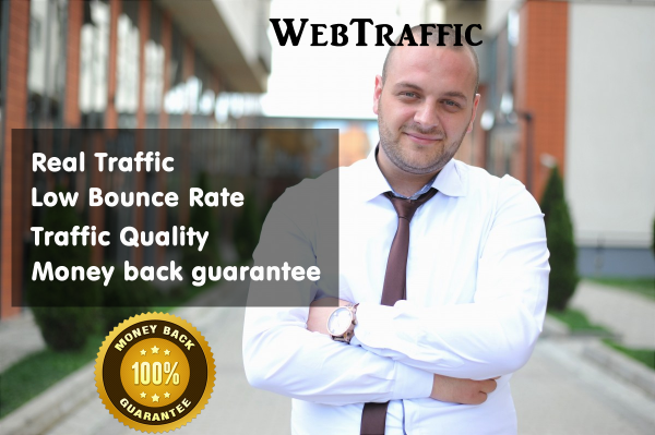 30 Days Web Traffic Website