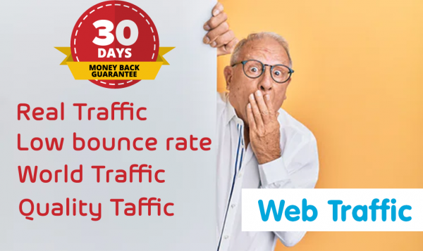 30 Days Web Traffic Website - Image 6